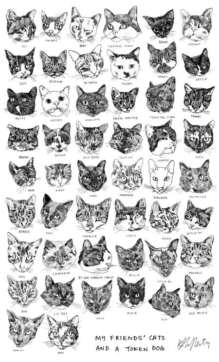 tea-towel-kavel-rafferty-cats