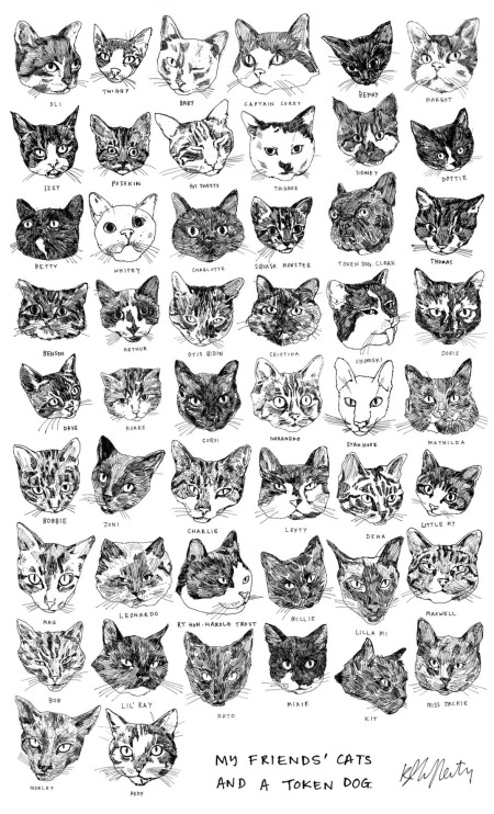 tea-towel-kavel-rafferty-cats